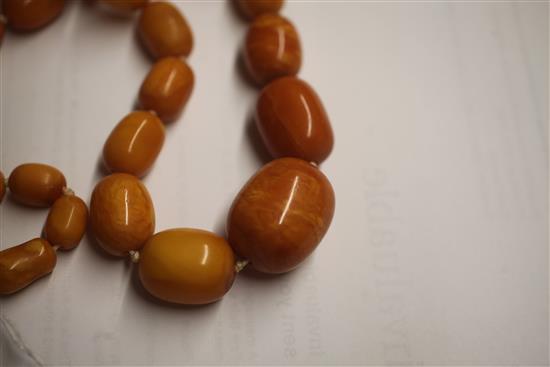 A single strand graduated oval amber bead necklace, 62cm.